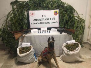 Antalya’da Zehir Tacirlerine Jandarmadan Operasyon