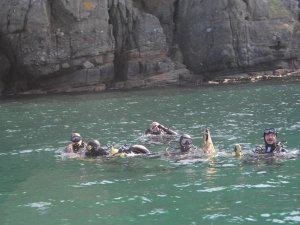 Yalova Açıklarında Hayalet Ağ Temizliği