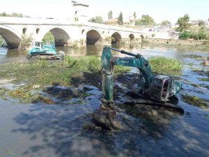 Ot Ve Sazlıklarla Kaplanan Tunca Nehri’nde Temizlik Çalışması Başlatıldı