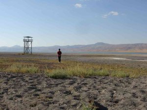 Kuş Cenneti Erçek Gölü’nde Korkutan Su Kaybı