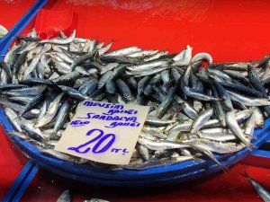 Sardalya 20 Liraya Düştü, Vatandaşlar Poşetleri Doldurdu