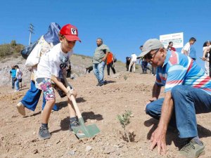 Körfez’in Çınarları Gelecek İçin Fidan Dikti