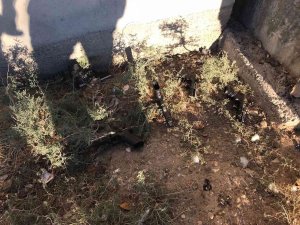 Adana’da Polis Baskınında Silahları Banyonun Penceresinden Attılar