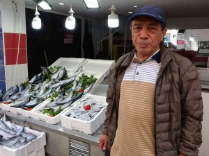 Tezgahlarda Palamut Bolluğu