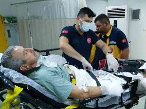 Ceviz Toplarken Ağaçta Elektrik Akımına Kapıldı