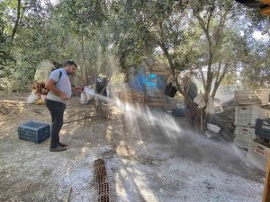 Kadirli’de Haşereyle Mücadele