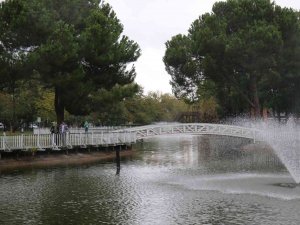 Sakarya’da Sonbahar Manzarası
