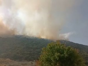 Kaş’ta Orman Yangınına Havadan Ve Karadan Müdahale Sürüyor