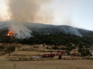 Kaş’ta Orman Yangını Kontrol Altına Alındı
