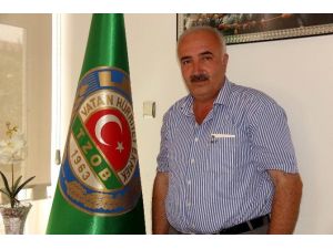 Fındıkta Rekolte Tartışması