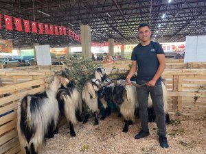 2. Geleneksel Koyun Keçi Ekipmanları Festivaline Yoğun İlgi