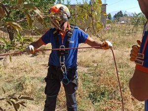 20 Metrelik Kuyuya Düşen Kediyi Afad Ekibi Kurtardı