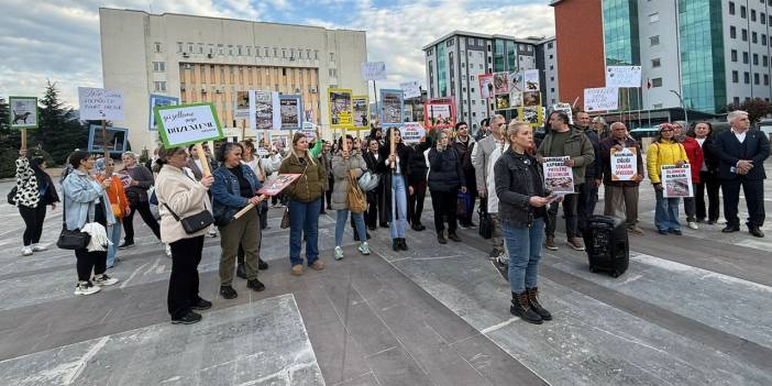 Rize’de Hayvanseverler Vali Baydaş’a seslendi: Doğal Yaşam Alanı değil Ölüm Kampı