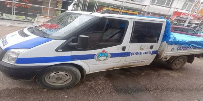 Ordu’da sokak hayvanlarını Akkuş ilçesine bırakan 3 kişi yakalandı