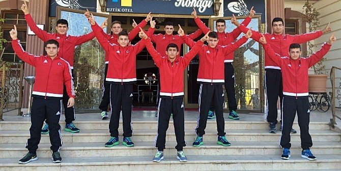 Milli Güreşçiler, Sırbistan’ı Fethetmek İstiyor