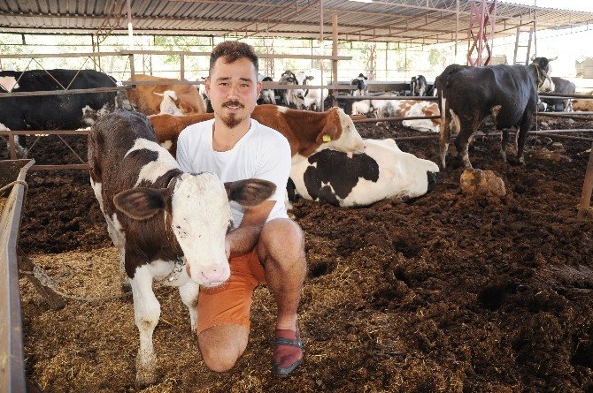 Üretici "Kdv İndirimi" Bekliyor