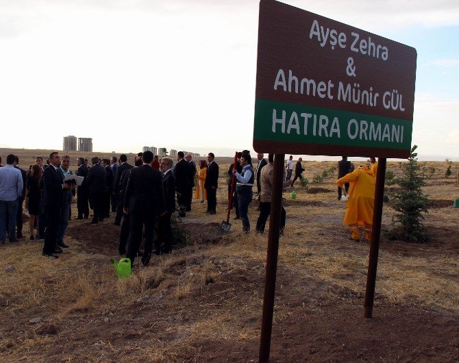 11. Cumhurbaşkanı Abdullah Gül Hatıra Ormanına Ağaç Dikti