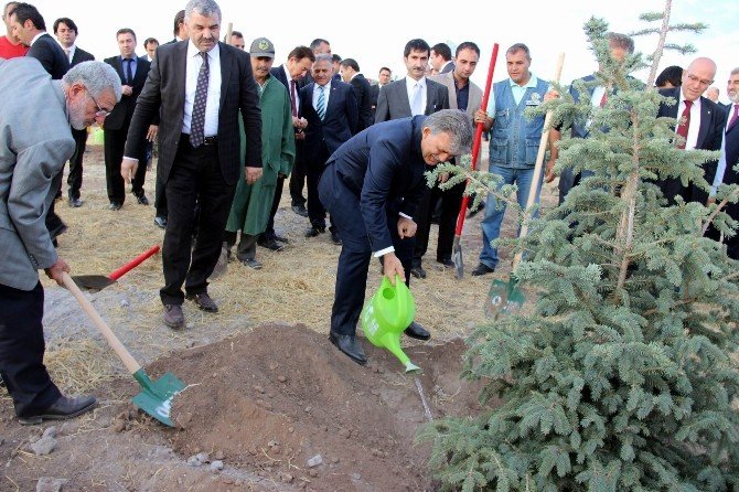 11. Cumhurbaşkanı Abdullah Gül Hatıra Ormanına Ağaç Dikti