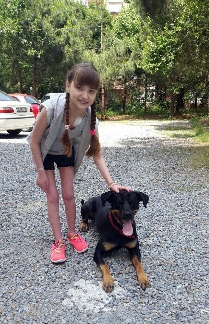 İdil’i Hayata Bağlayacak Kalp Bulundu