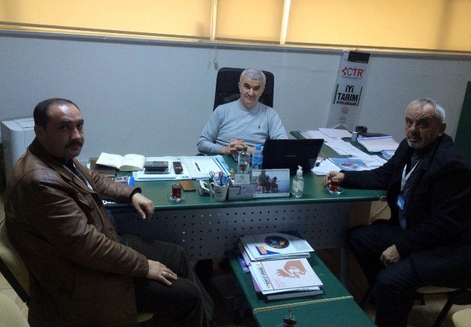 Kuş Gribinin Vurduğu Tavuk Sektöründe İflaslar Kapıda