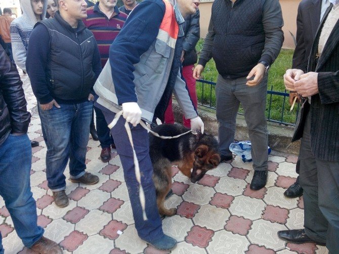 Köpeğe Eziyete Vatandaştan Tepki