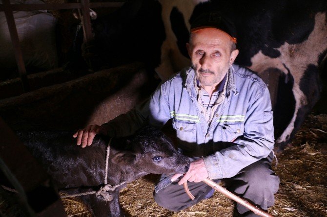 Geçirdiği Kaza İle Gözlerini Kaybetti, Yaşam Sevincini Kaybetmedi