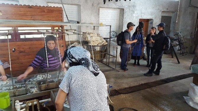 Çinliler İpeğin Peşine Düştü