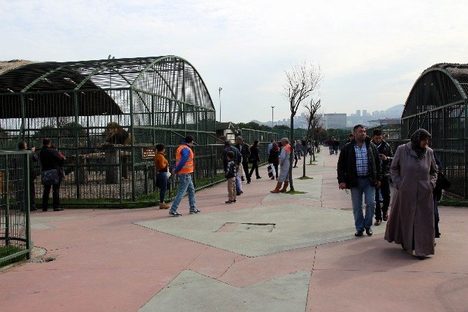 10 Yılda 2.5 Milyon Ziyaretçi