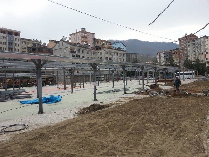 Kumru’ya Yeni Pazar Alanı
