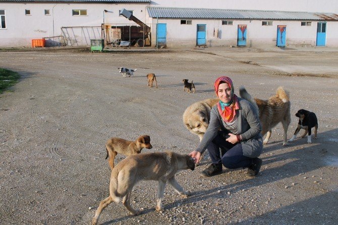 Hayatını Hayvanlara Adadı