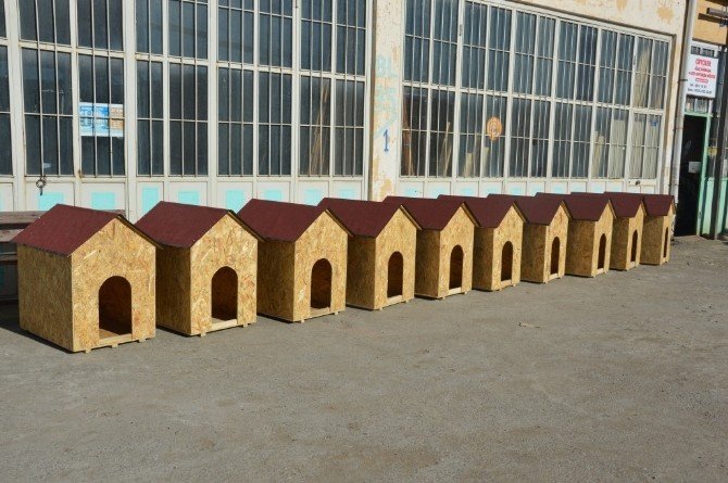 Hayvanseverlerden Sokak Köpekleri İçin 10 Adet Kulübe