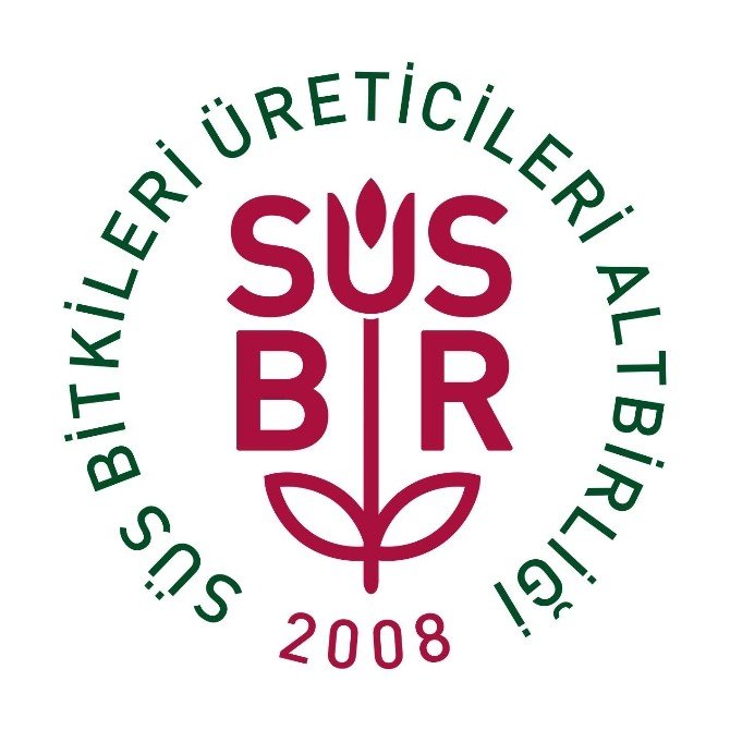 Süsbir, Expo 2016’da Türkiye’yi Temsil Edecek