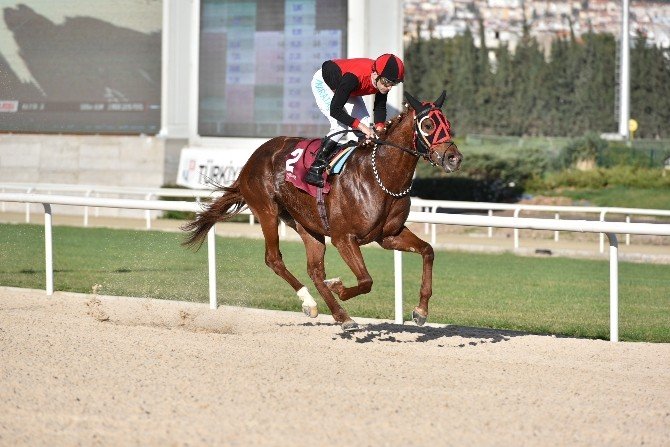 Tsyd İzmir Koşusu’nu “İlkaan” Kazandı