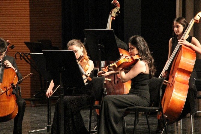 Sokak Hayvanları Yararına Klasik Müzik Konseri