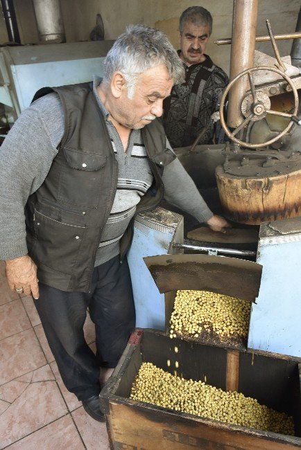 Güdül’de Leblebicilik Yok Olma Noktasına Geldi