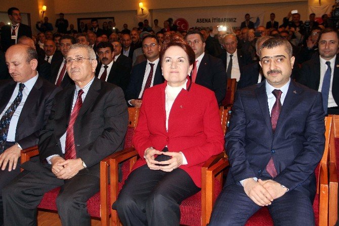 Mhp Eski Milletvekili Meral Akşener: