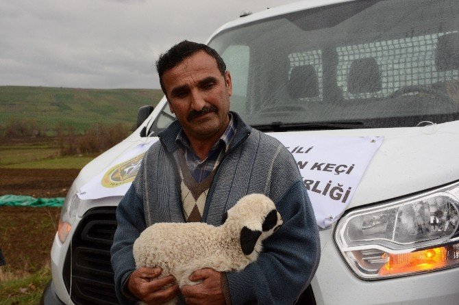 Tokat’ta Dayanışma Örneği