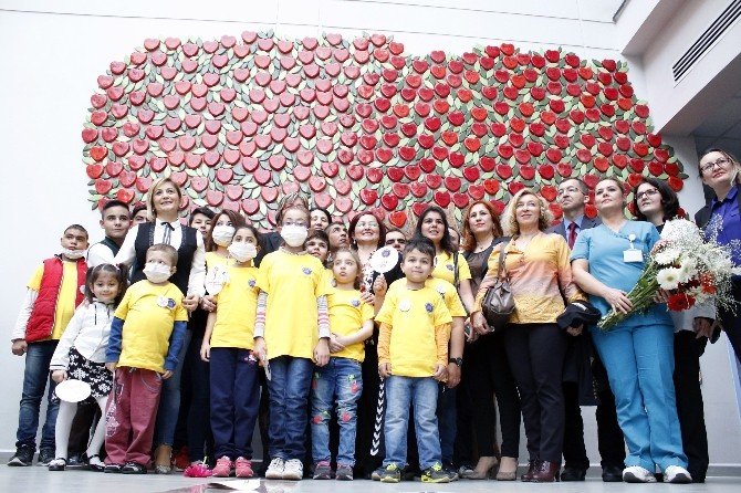 ’Can Ağacı’nın Meyveleri