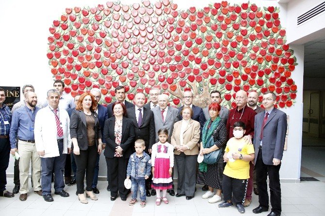 ’Can Ağacı’nın Meyveleri