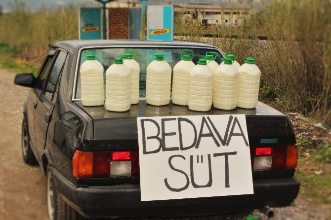 Sütünü Satamayan Çiftçi 300 Litre Sütü Bedava Dağıttı