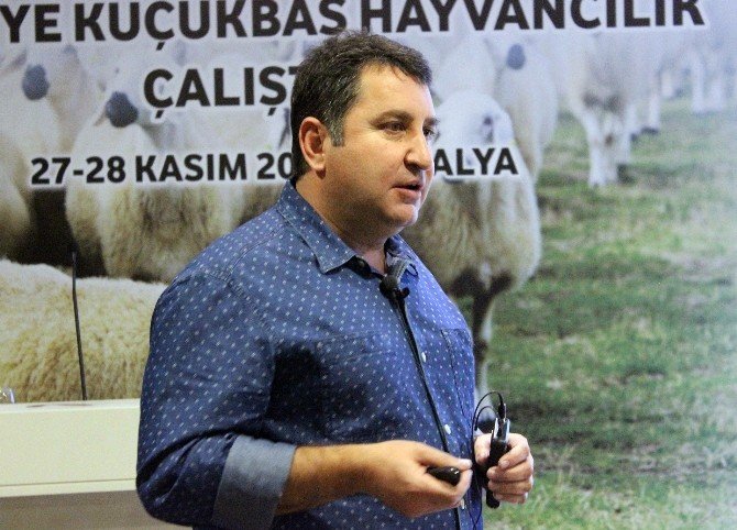 Çanakkale İli Damızlık Koyun Keçi Yetiştiricileri Başkanı Savran: “Tüketici 9 Tl’ye Süt İçiyor Ama Üretici Kazanmıyor”