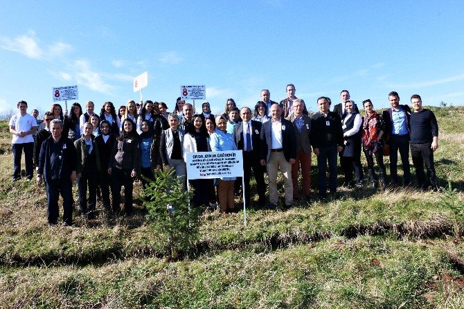 Dr. Dağdemir Adına Hatıra Ormanı