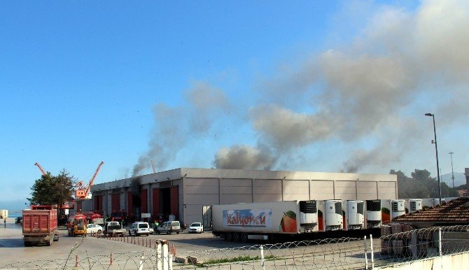 İtfaiyenin Karşısında Limanda Yangın