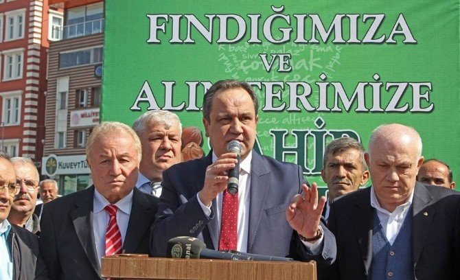 Giresun’dan Fındık Haykırışı