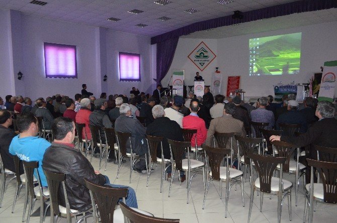 Kargı’da Çeltik Konferansı