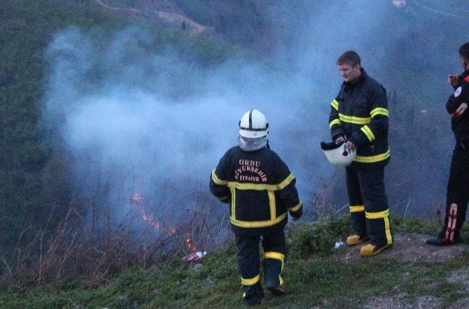 Ordu’da Çıkan Orman Yangını Güçlükle Söndürüldü