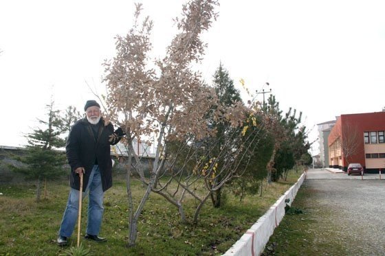 Çakır Dede Hayatını Kaybetti