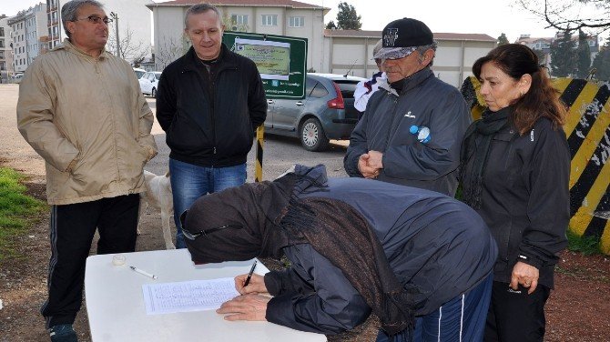 Bandırma’da Çamlık Tartışması