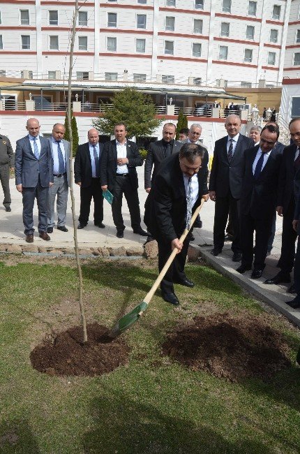 Bakan Eroğlu, ’Tıbbi Ve Aromatik Bitkiler Çalıştayı’na Katıldı