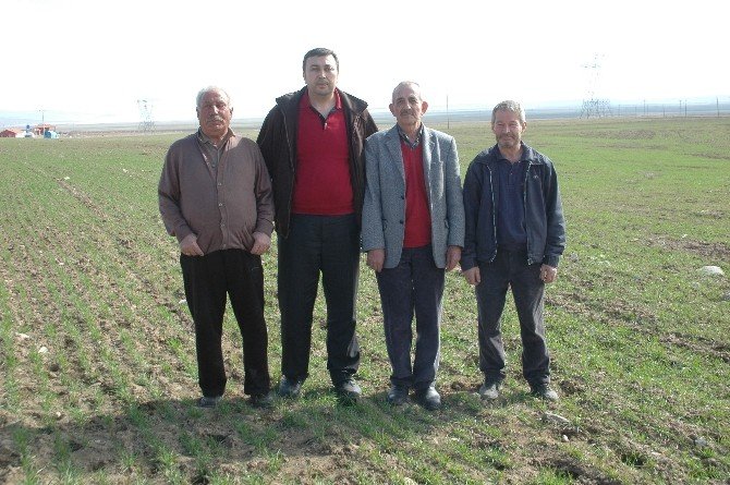 Tarım Sigortasına İlgi Her Geçen Gün Artıyor